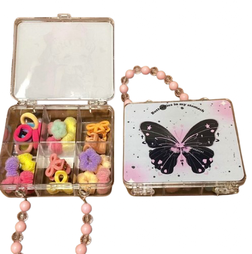 Decorative Clear Organizer Case (Butterfly Design)