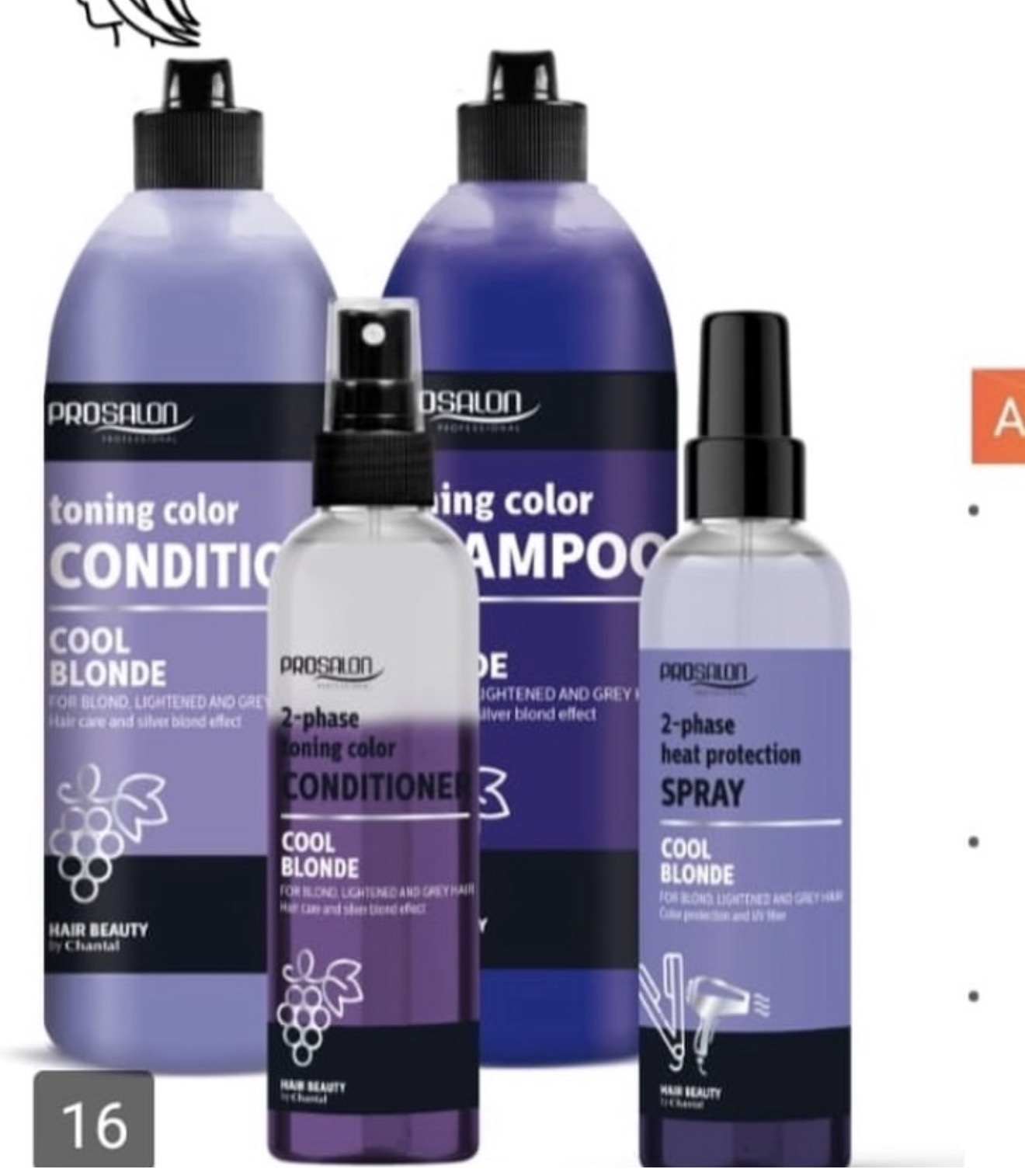 Prosalon Professional Toning Shampoo & Conditioner
